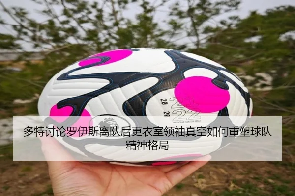 多特讨论罗伊斯离队后更衣室领袖真空如何重塑球队精神格局